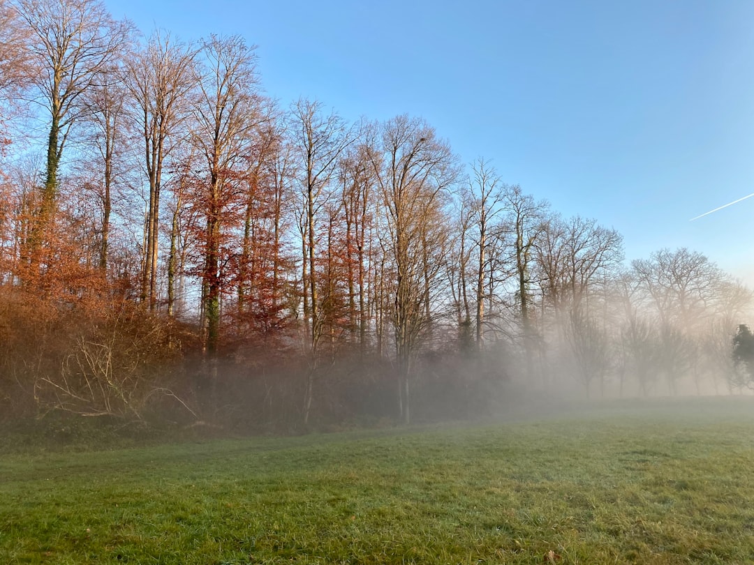 バカラルージュ540 似てる 安いのイメージ画像