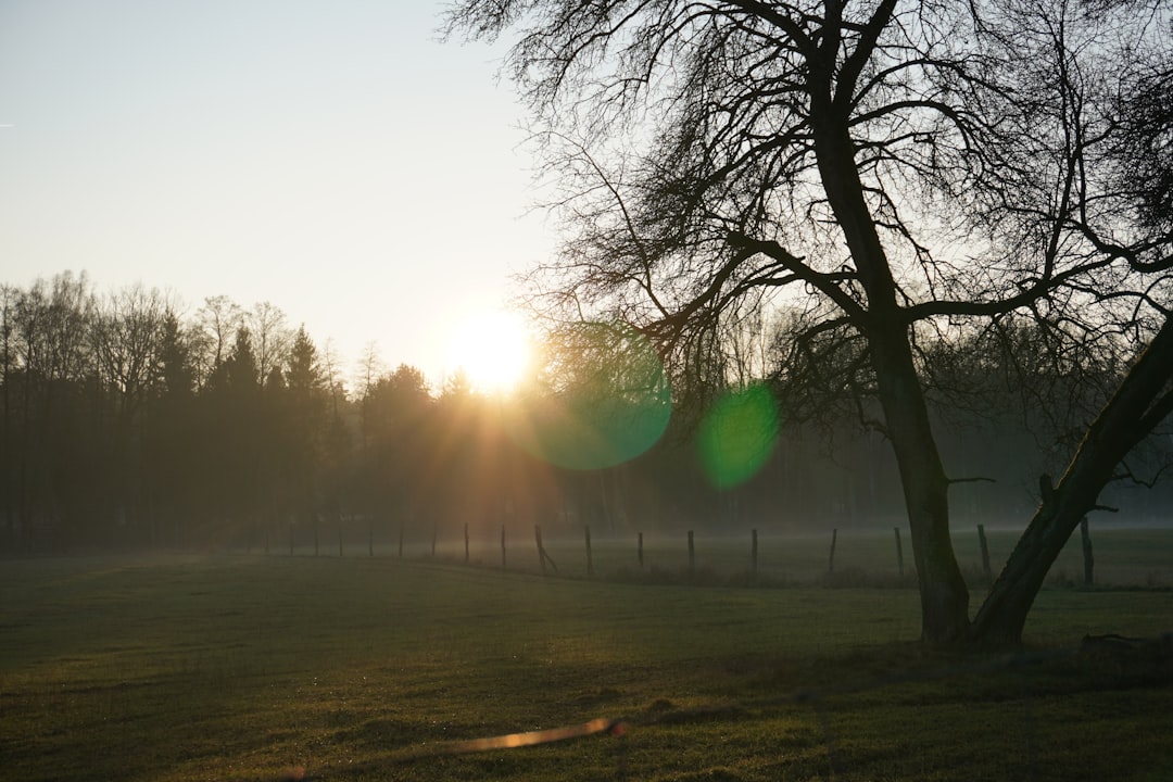 韓国 香水 メンズ おすすめのイメージ画像